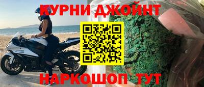 сатива Новодвинск
